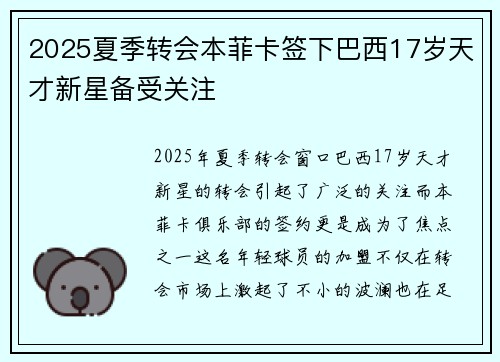 2025夏季转会本菲卡签下巴西17岁天才新星备受关注